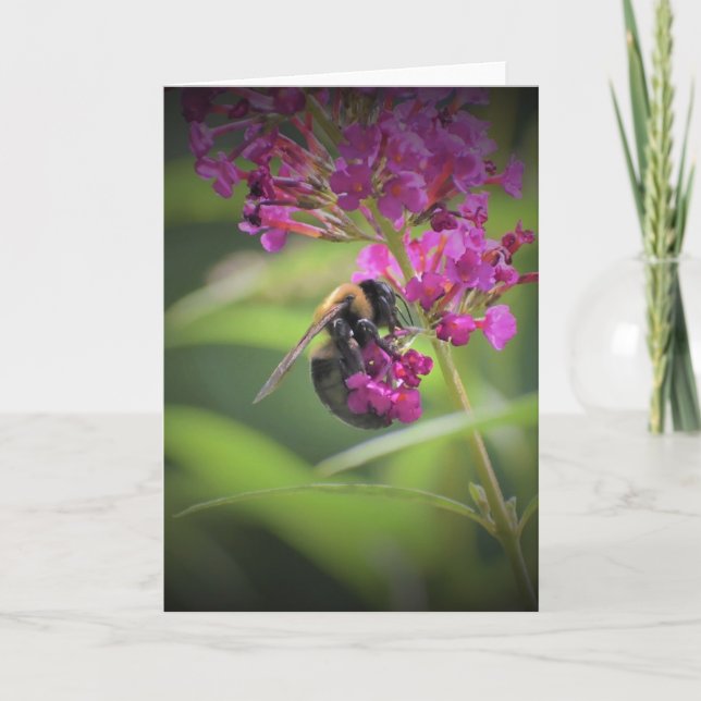 Abeja, tarjeta (Anverso)