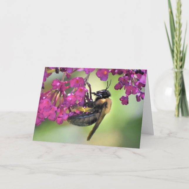 Abeja, tarjeta (Anverso)