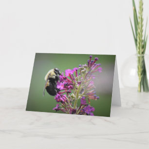 Abeja, tarjeta