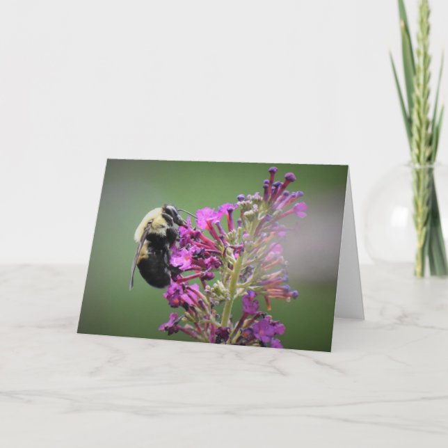 Abeja, tarjeta (Anverso)