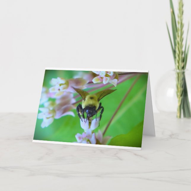 Abeja, tarjeta (Anverso)