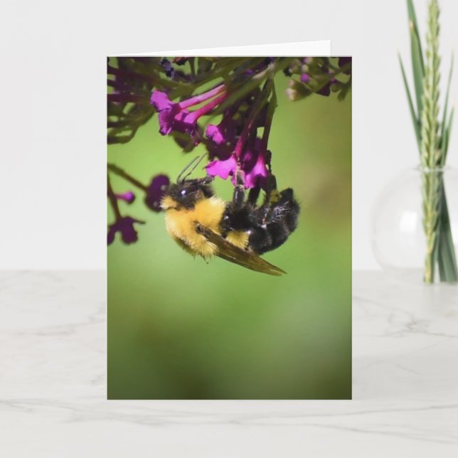 Abeja, tarjeta (Anverso)