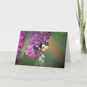 Abeja, tarjeta