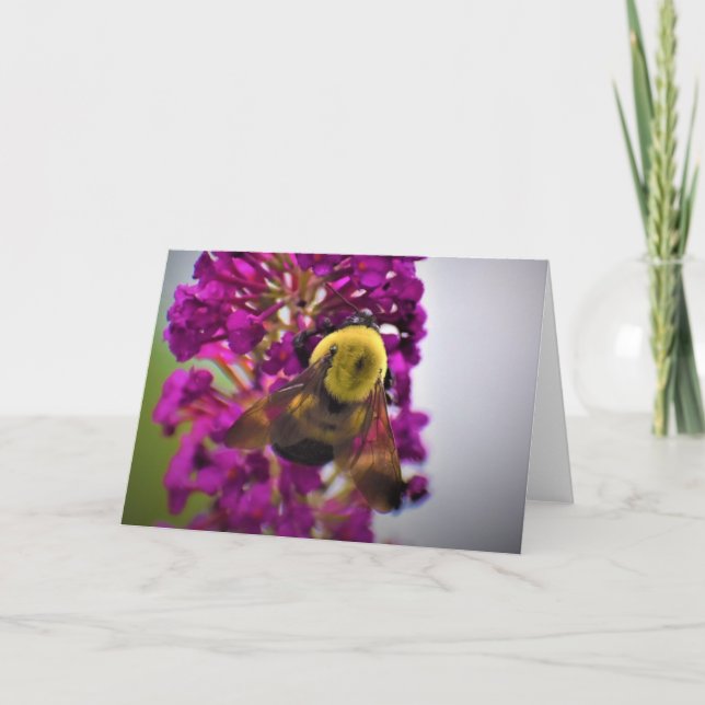 Abeja, tarjeta (Anverso)