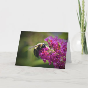 Abeja, tarjeta