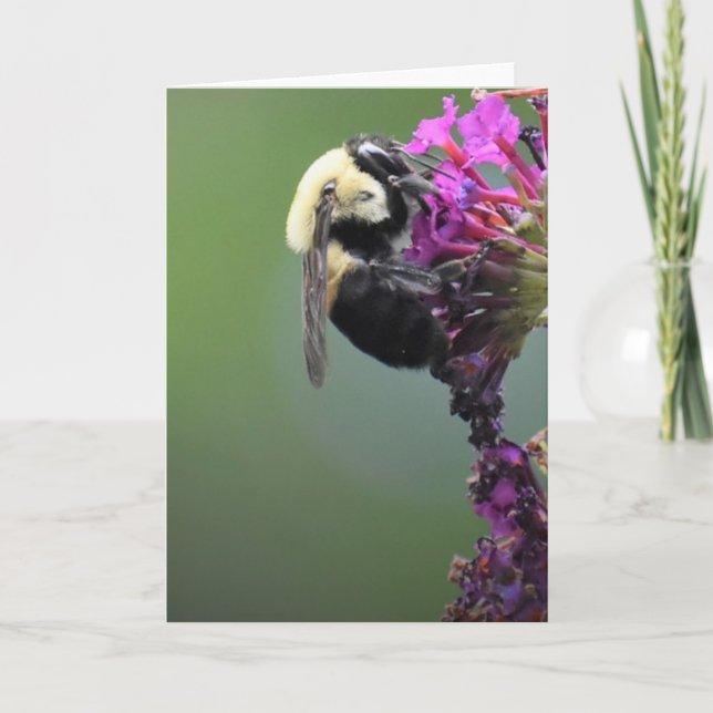 Abeja, tarjeta (Anverso)
