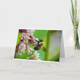 Abeja, tarjeta