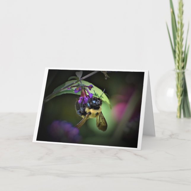 Abeja, tarjeta (Anverso)