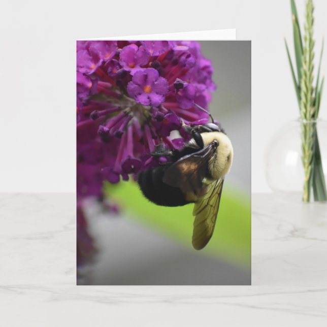 Abeja, tarjeta (Anverso)