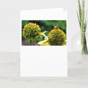 Abeja, tarjeta