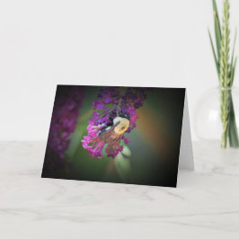 Abeja, tarjeta