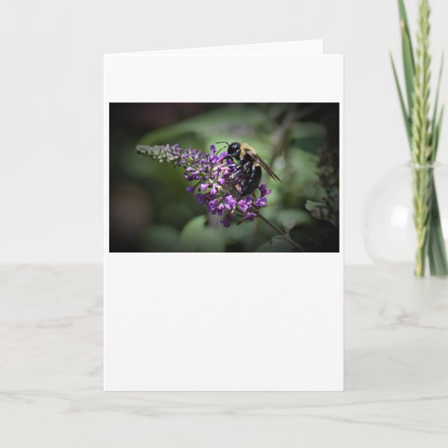 Abeja, tarjeta (Anverso)