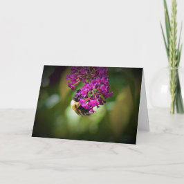 Abeja, tarjeta
