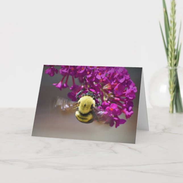 Abeja, tarjeta (Anverso)