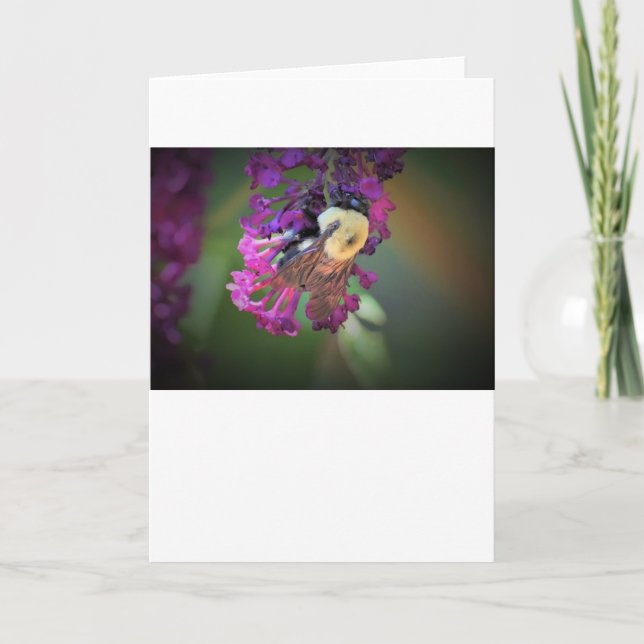 Abeja, tarjeta (Anverso)