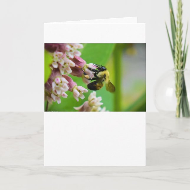 Abeja, tarjeta (Anverso)