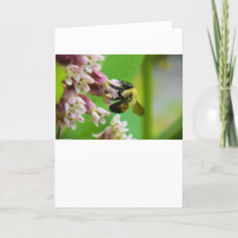 Abeja, tarjeta