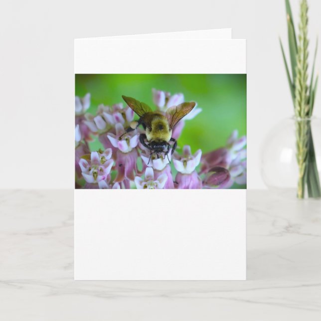 Abeja, tarjeta (Anverso)