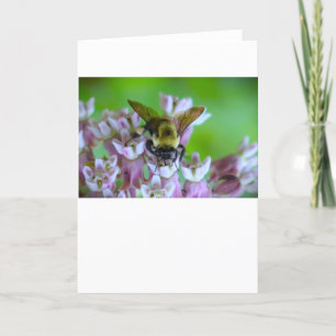 Abeja, tarjeta