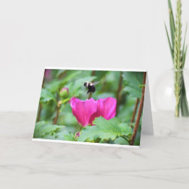 Abeja, tarjeta