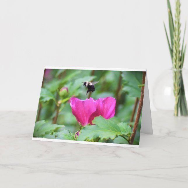 Abeja, tarjeta (Anverso)