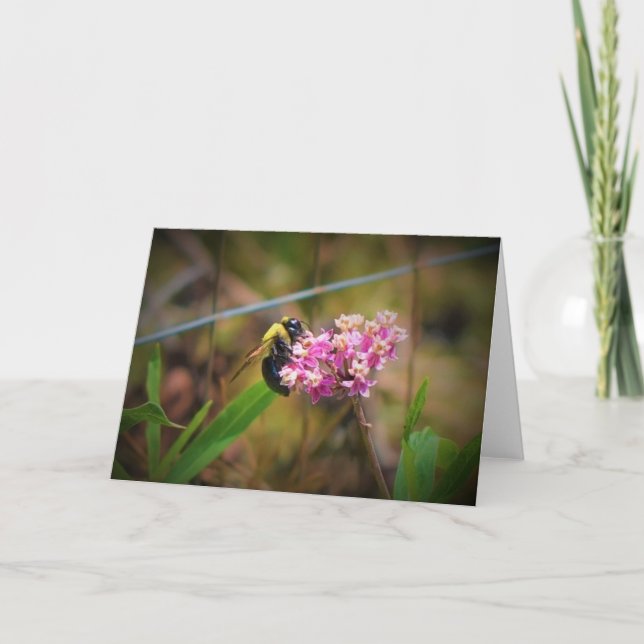 Abeja, tarjeta (Anverso)