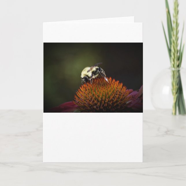 Abeja, tarjeta (Anverso)