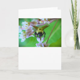 Abeja, tarjeta