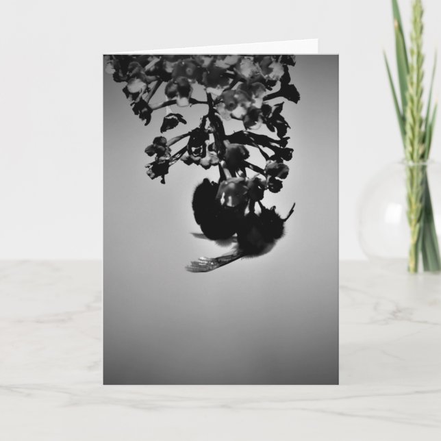 Abeja, tarjeta (Anverso)