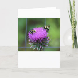 Abeja, tarjeta