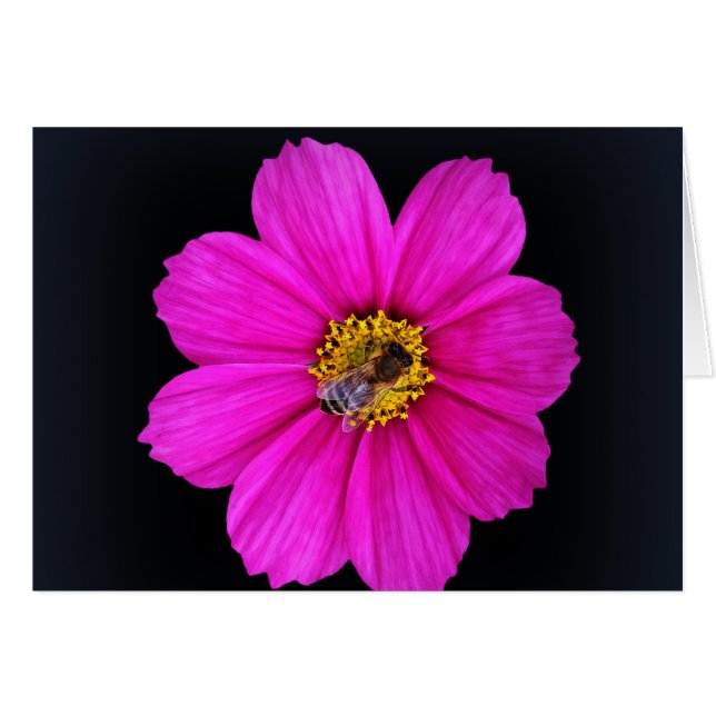 abeja trabajadora (Anverso (Horizontal))