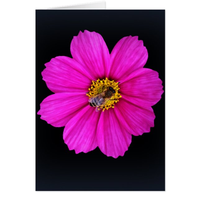 abeja trabajadora (Frente)