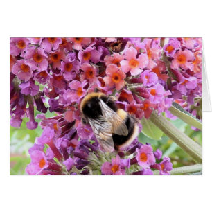 Abeja y buddleia