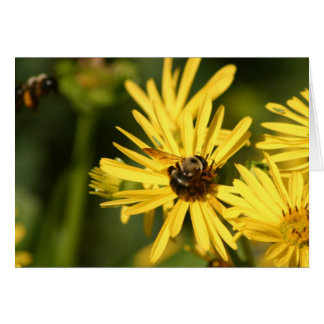 Abejas