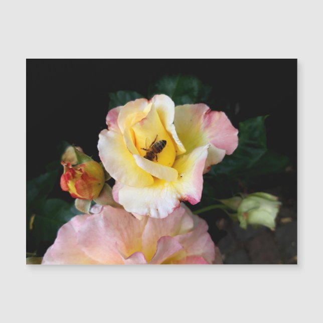 Abejas con flores de rosas amarillas rosas (Anverso)