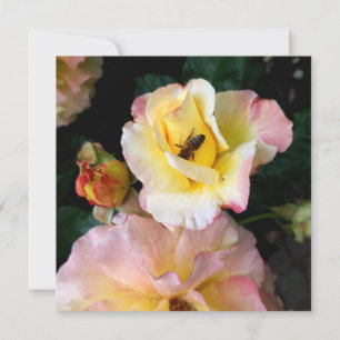 Abejas con flores de rosas amarillas rosas