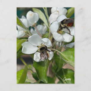 Abejas de burbujas y flores - postal