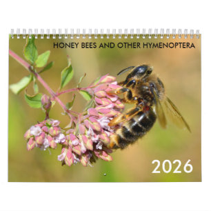 Abejas de miel y otro calendario de himenoptera