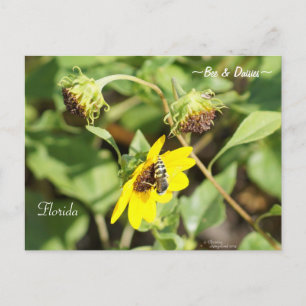 Abejas en las tarjetas postales amarillas en Flori