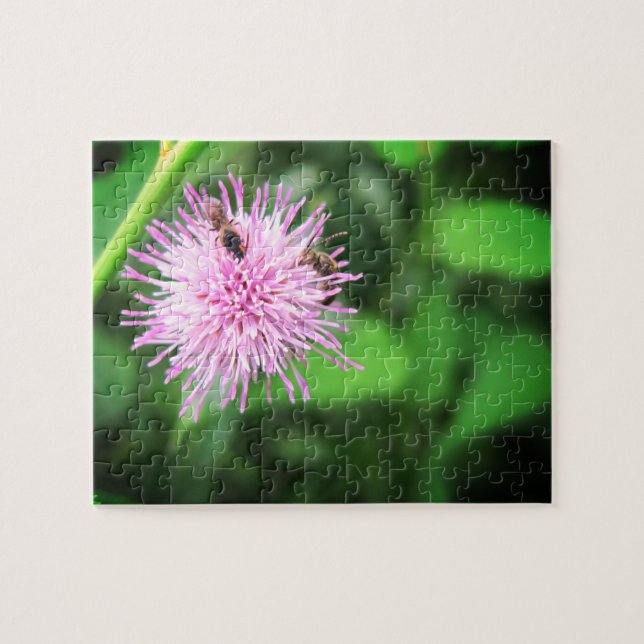 Abejas en un Cardo Relajante Rompecabezas de Autoc (Horizontal)