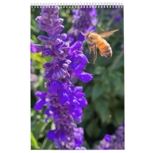 Abejas mariposas calendario