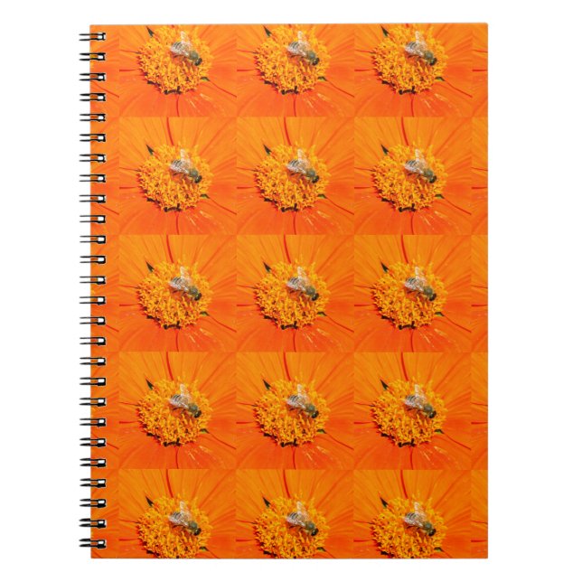 abejas melíferas en cuaderno naranja (Frente)