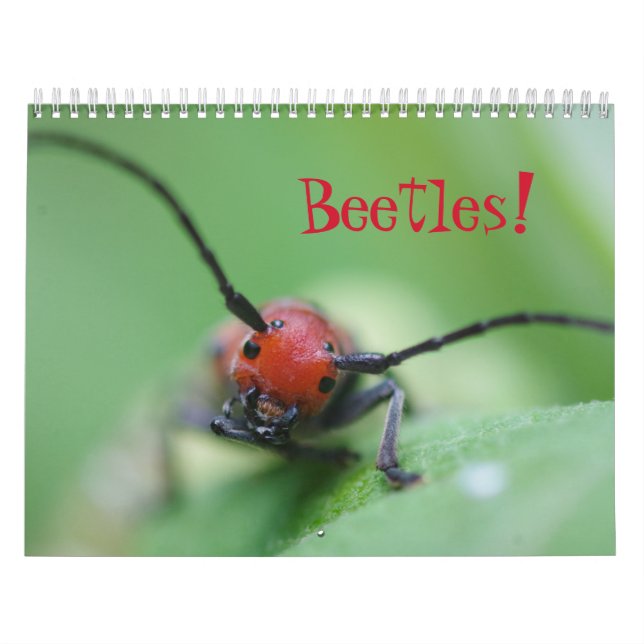 ¡Abetos! Calendario (Tapa)