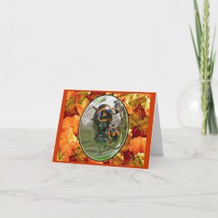 Abetos con tarjeta de notas de Milkweed