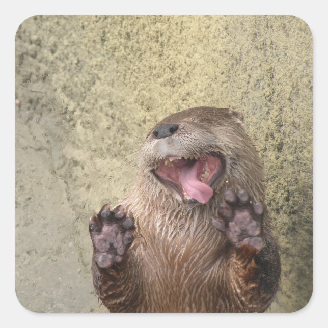 ¡Abierta! Pegatinas Otter (Anverso)