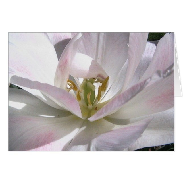 abra su mente (Anverso (Horizontal))