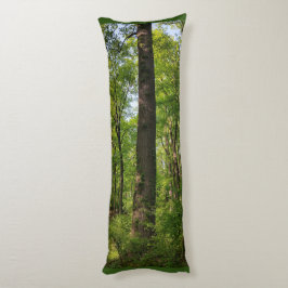 Abrazar una almohada de árbol #2