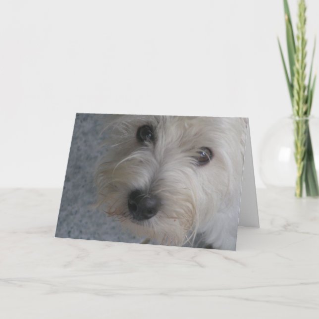 Abrazarme - Tarjeta (Anverso)