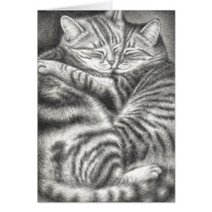 ABRAZO DE GATOS DE TABBY