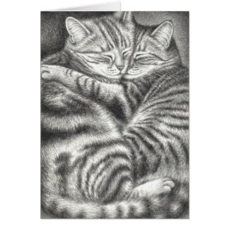ABRAZO DE GATOS DE TABBY